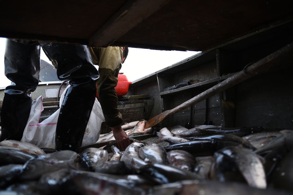 Photograph by Марина Калинина