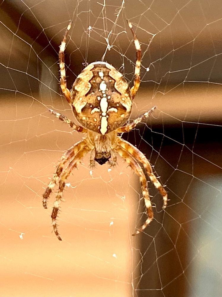 Photograph by Марина Танаева