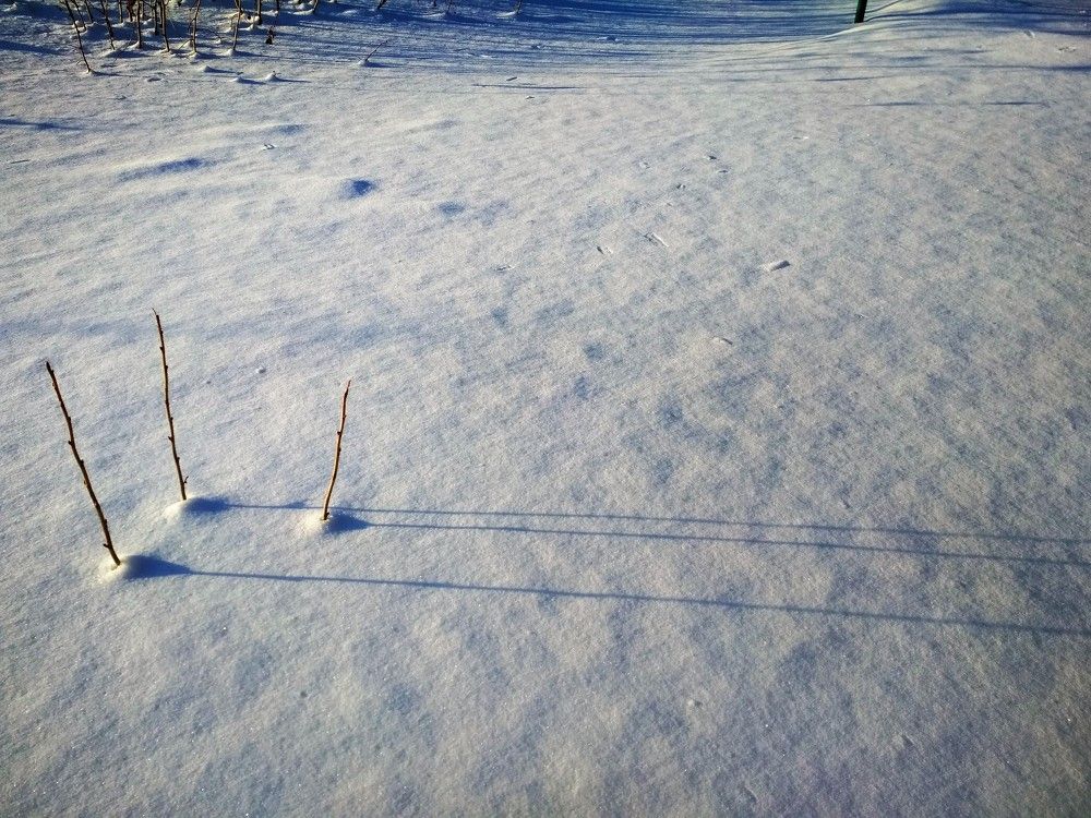 Фотография автора Ирина