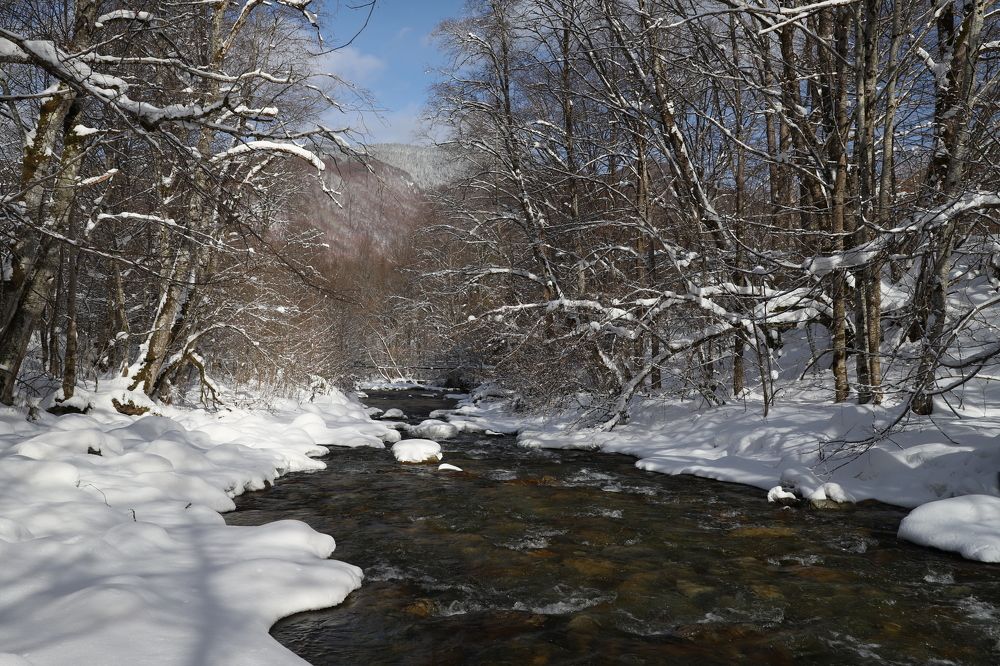 Photograph by Popa Alin