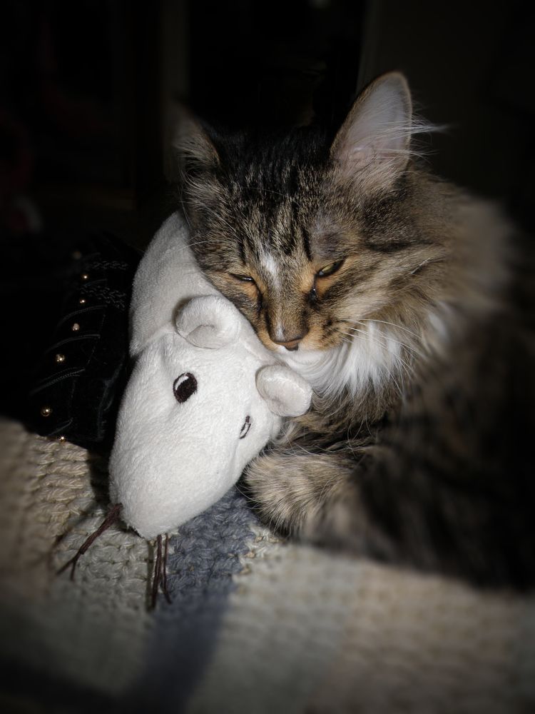 Дружба навеки