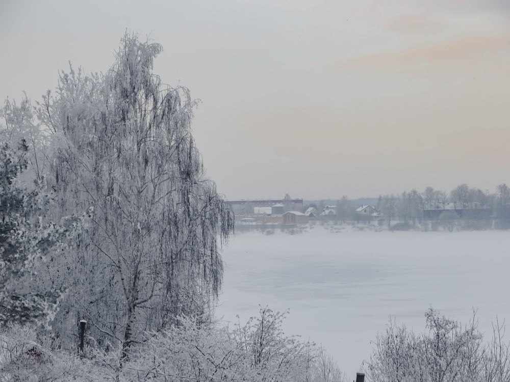 Photograph by Дарья Вега