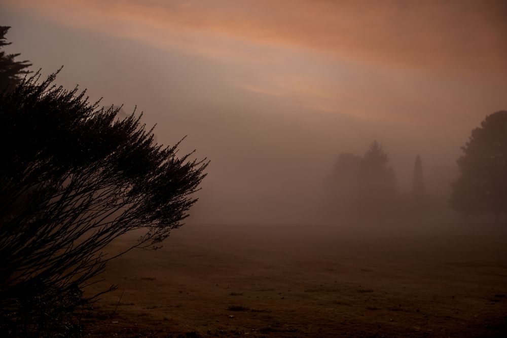 Photograph by Maria Mac lean