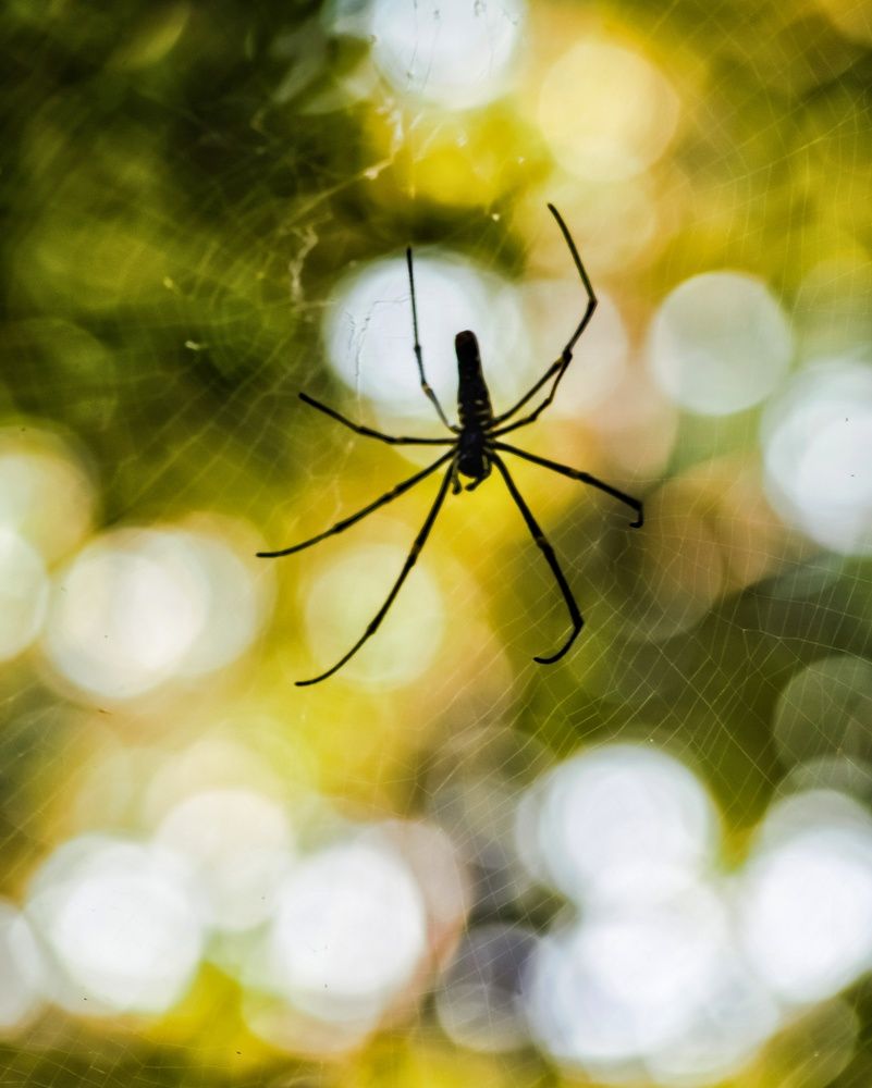 Photograph by Nikhil Raghuwanshi