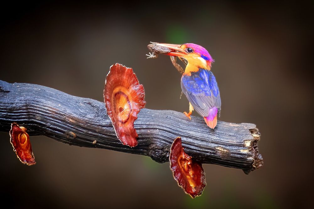 Photograph by Aniket Karane