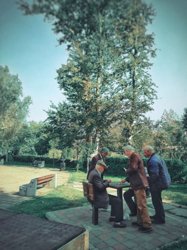 Photograph by shima yousef zade