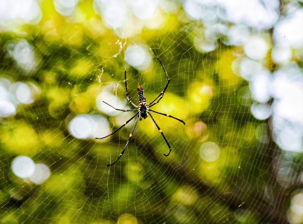 Photograph by Nikhil Raghuwanshi