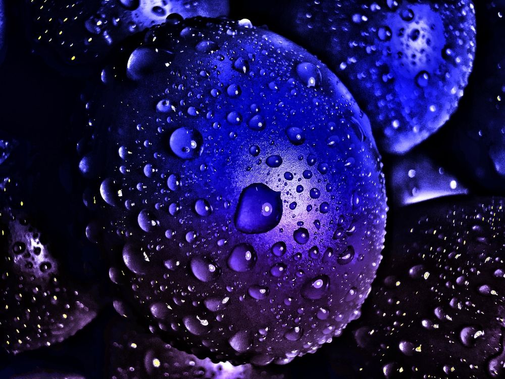 Космические помидорки черри