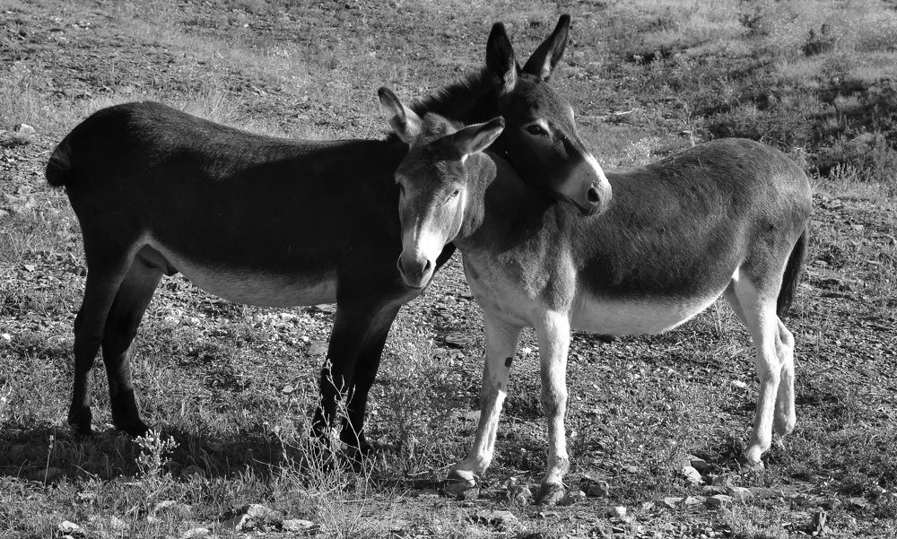 Photograph by Татьяна Дорожко