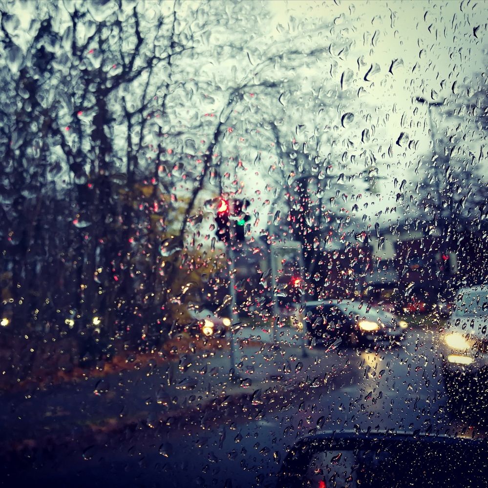 Photograph by Gabriella Szabo