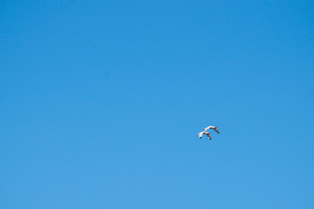 Photograph by Karina Elena Bergagna