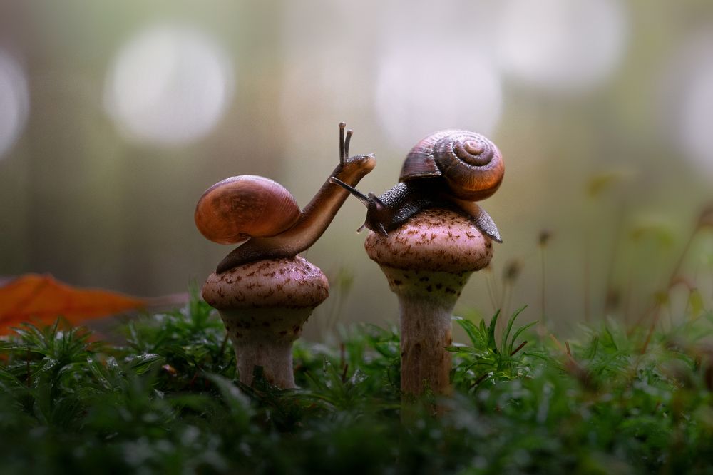 Фотография автора Татьяна Гореславец