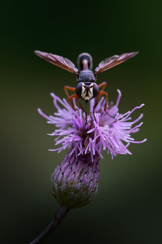 Фотография автора Татьяна Гореславец
