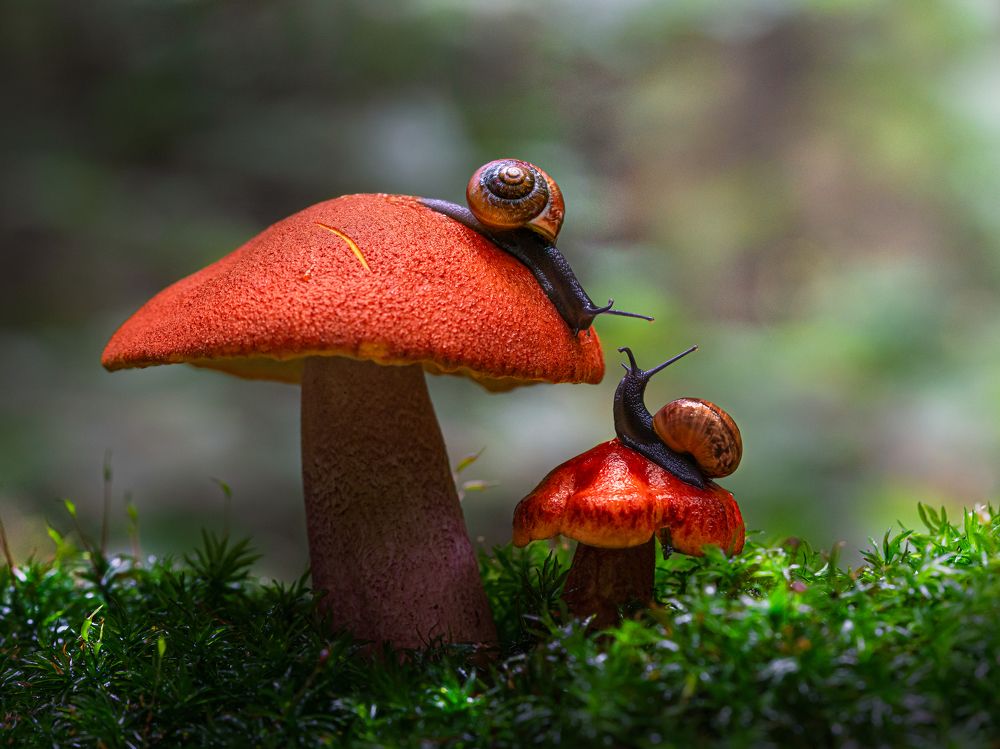 Фотография автора Татьяна Гореславец