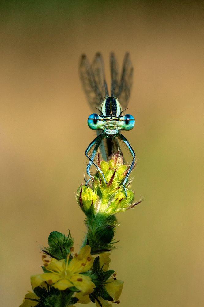Фотография автора Татьяна Гореславец