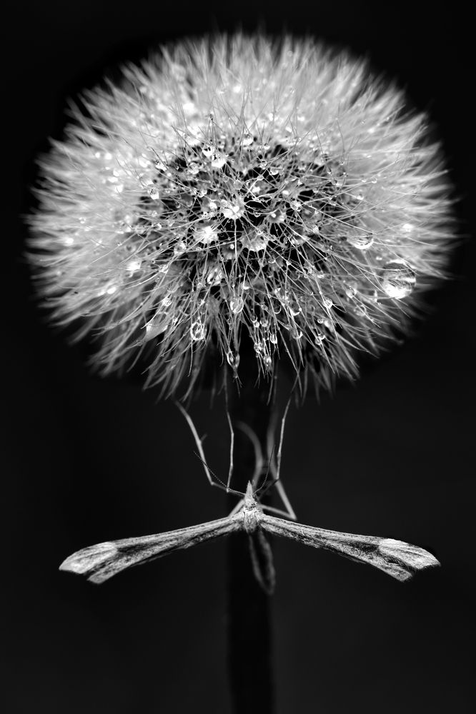 Фотография автора Татьяна Гореславец