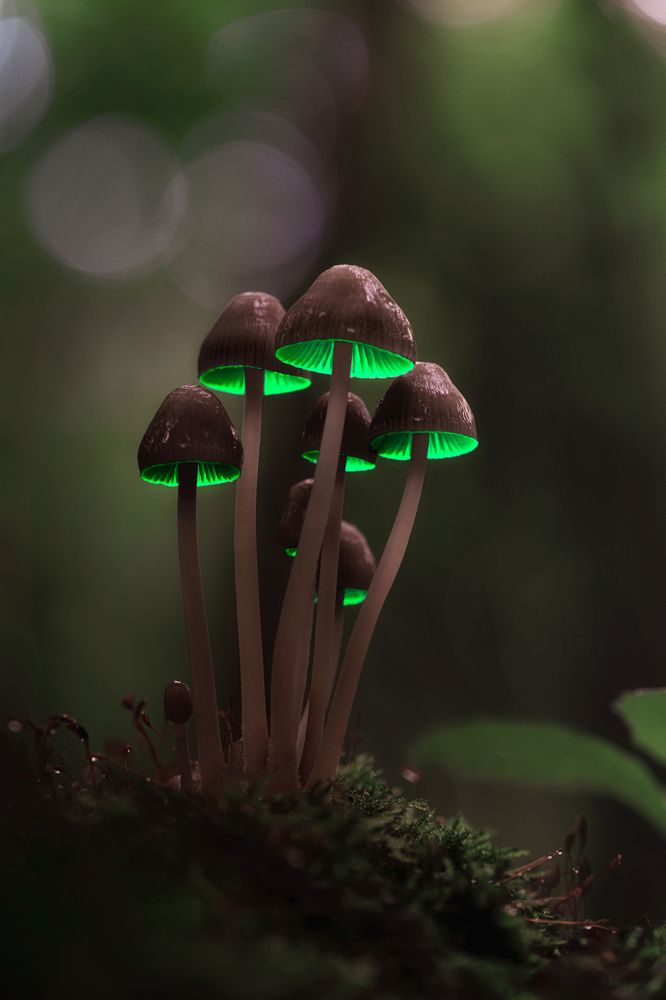 Фотография автора Татьяна Гореславец