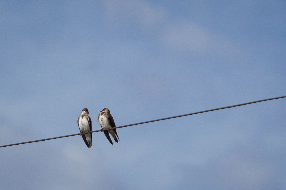 Photograph by Karina Elena Bergagna