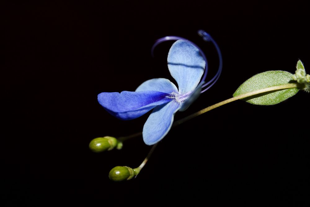 Photograph by Нурия Акимова