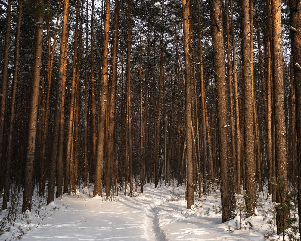 Photograph by Александра Чистякова