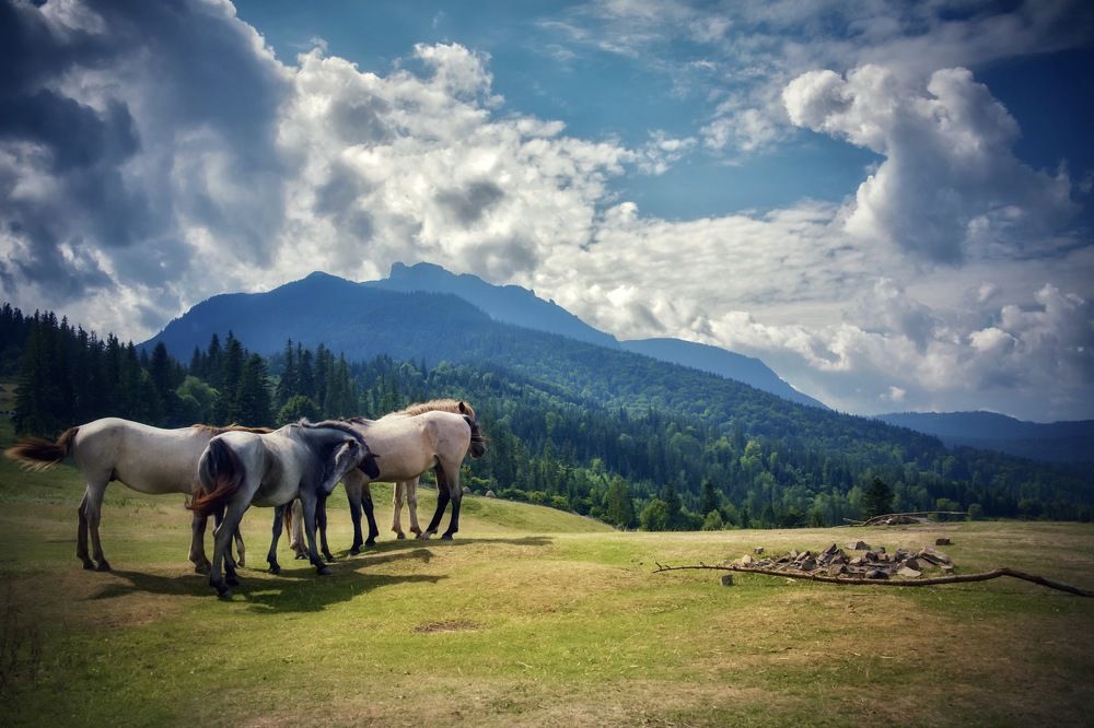 Photograph by Наталья Пирогова