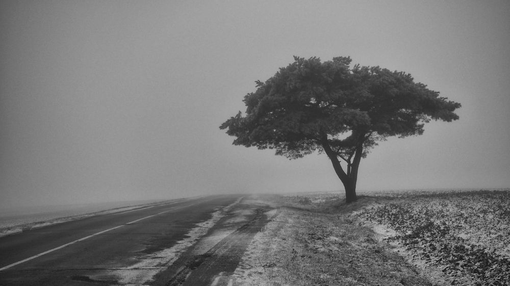 Photograph by Витковский Андрей