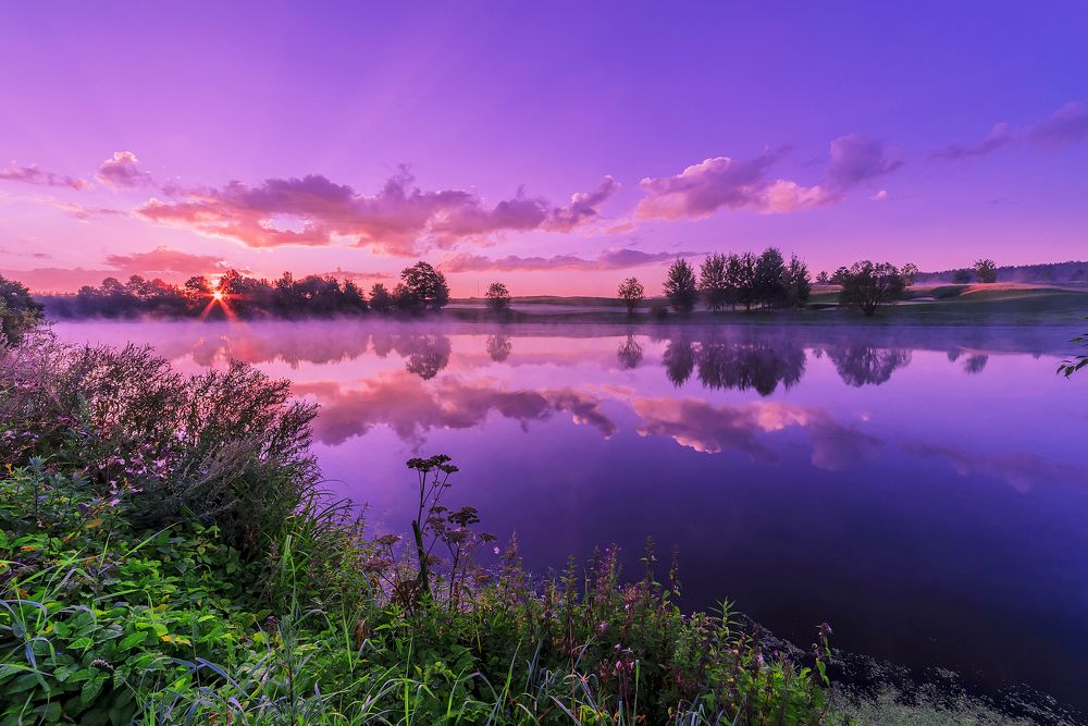 Туман парит над водной гладью
