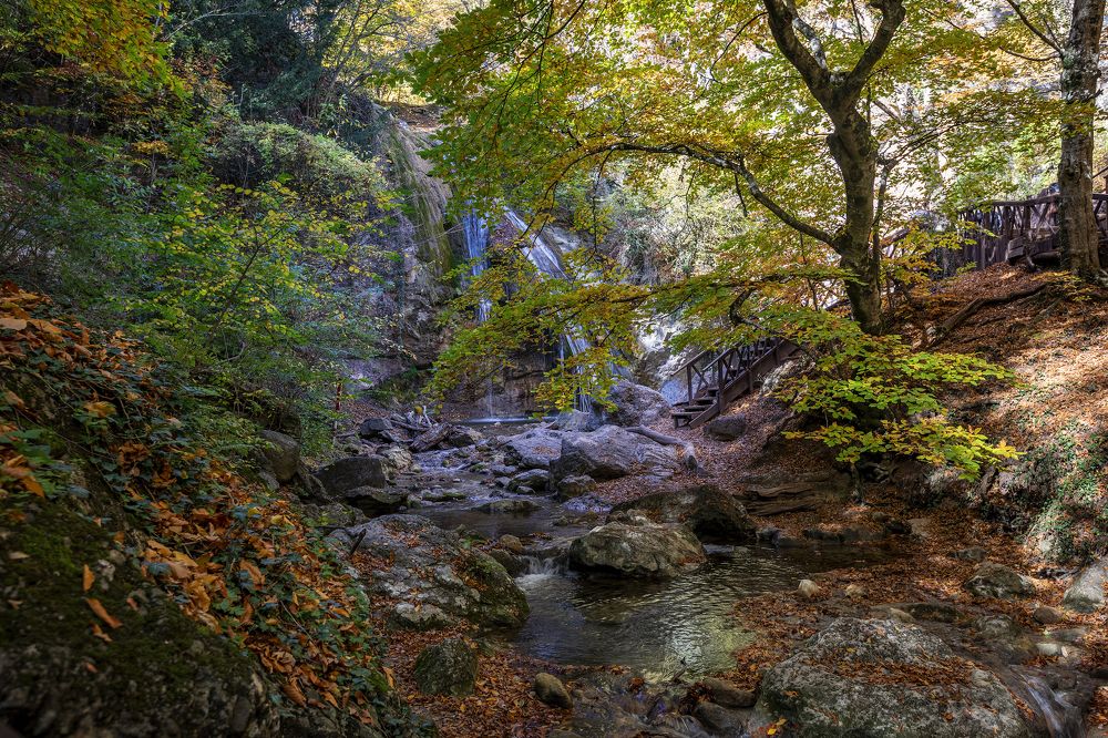 Photograph by 