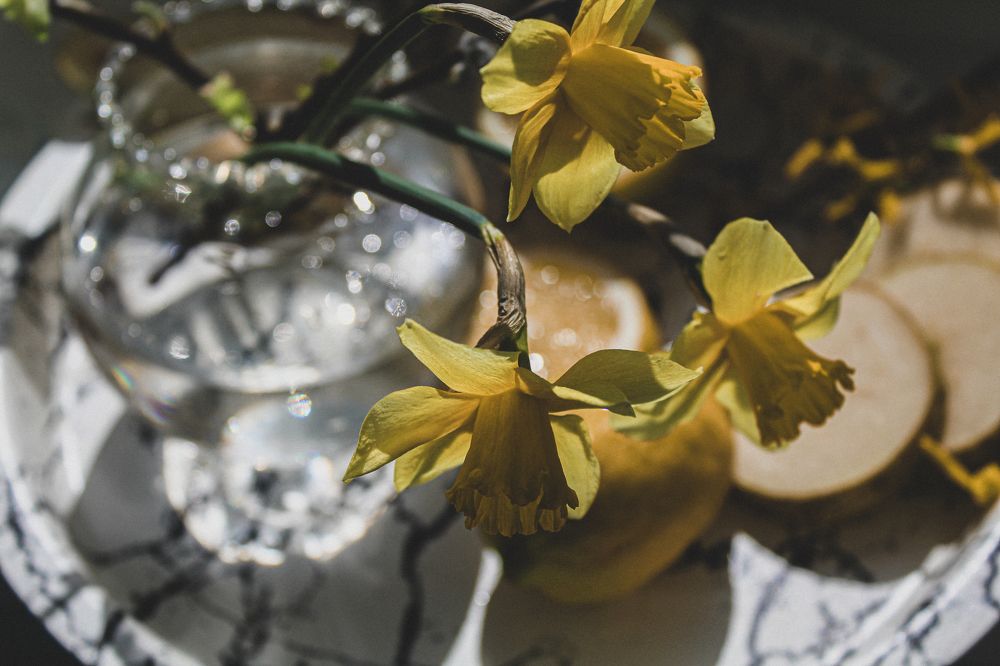 Фотография автора Наталія Савка