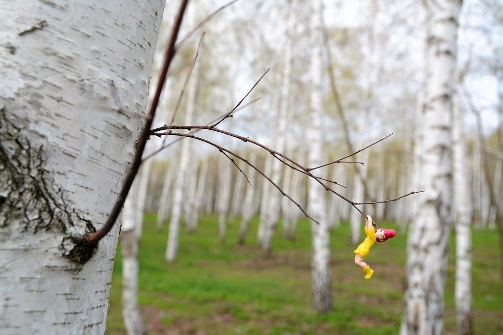 Photograph by Дмитрий Шумский