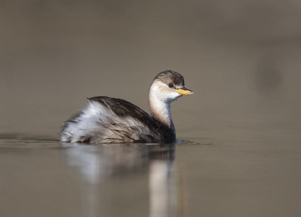 Photograph by Vasos Vasiliou