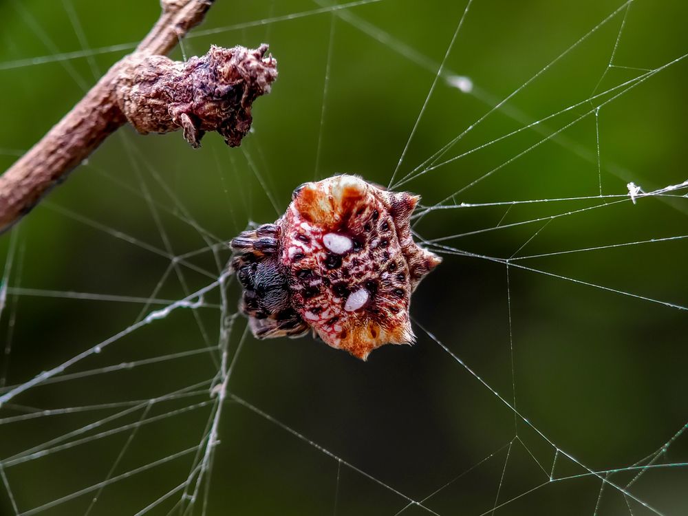 Photograph by Dede Deka