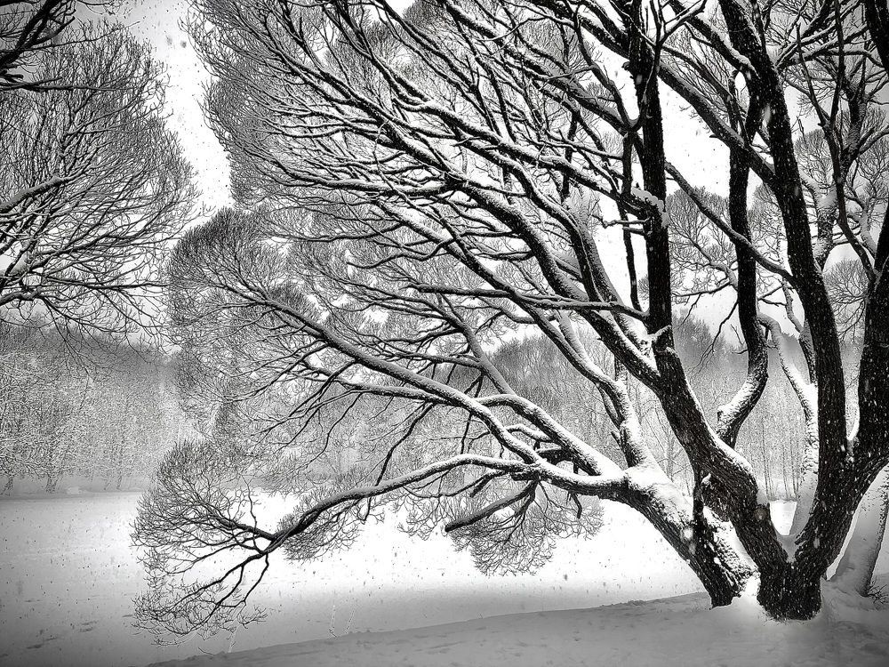 Photograph by Иван Клинников