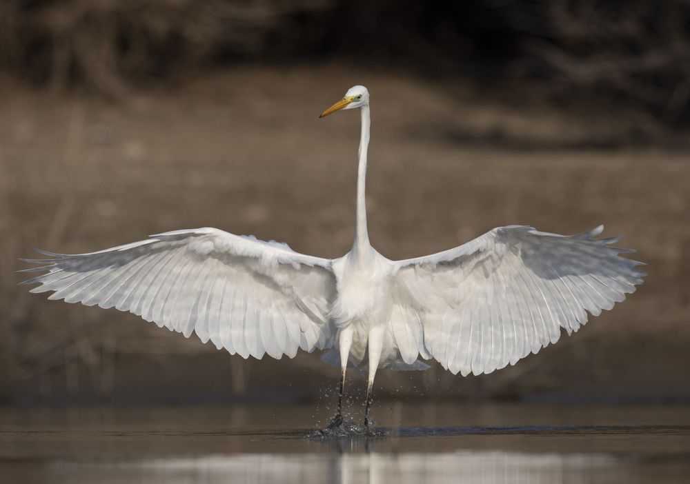 Photograph by Vasos Vasiliou