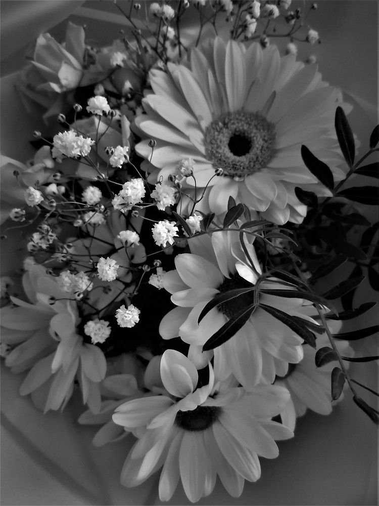 Photograph by Екатерина Серова