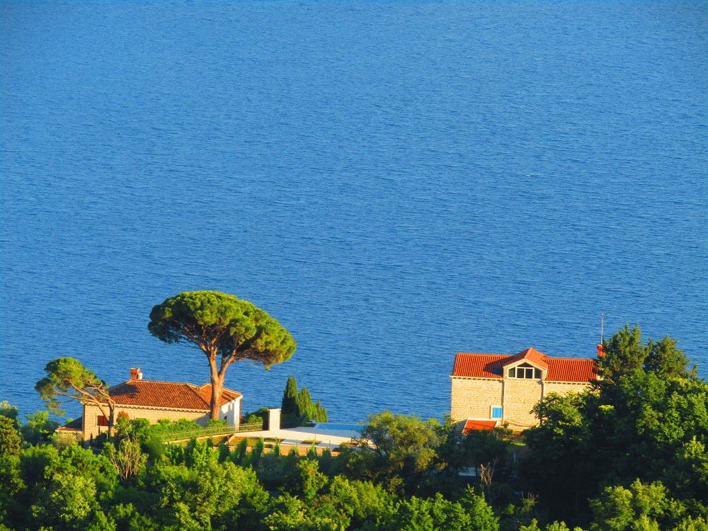 Photograph by Darko Milojevic