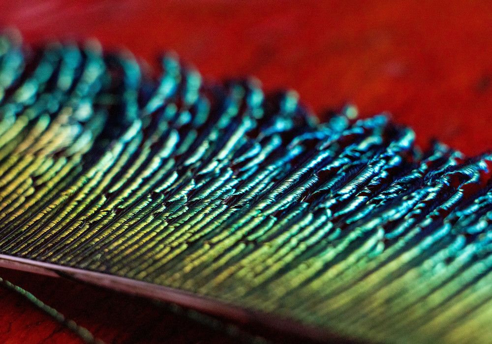 Photograph by Светлана Катанцева