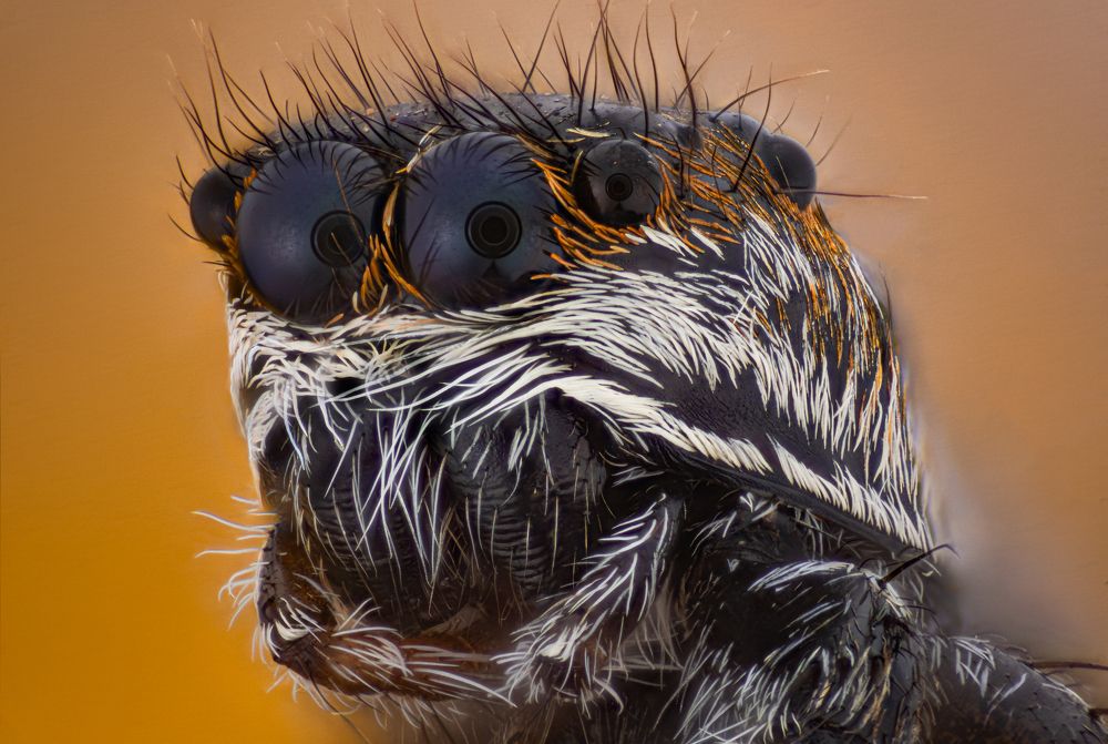 Photograph by André Luiz Araújo