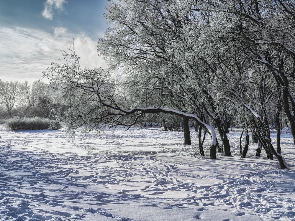 Photograph by Aleksandr Belov