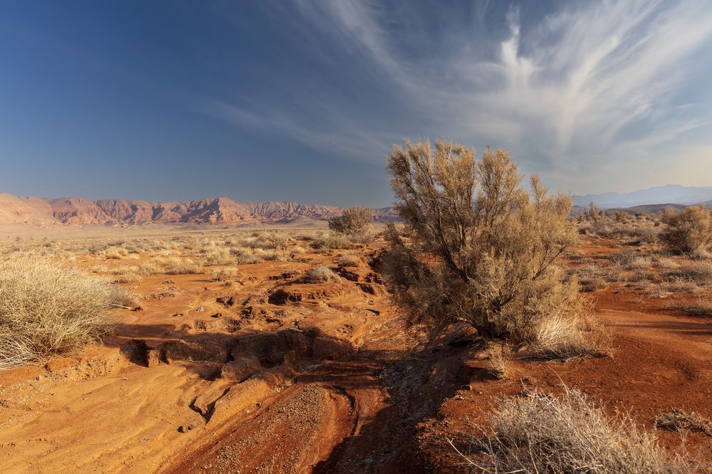 Photograph by Аскар Баймухамедов