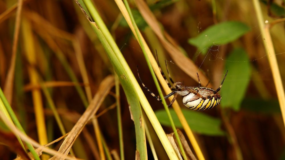 Photograph by Виктор Коршунов