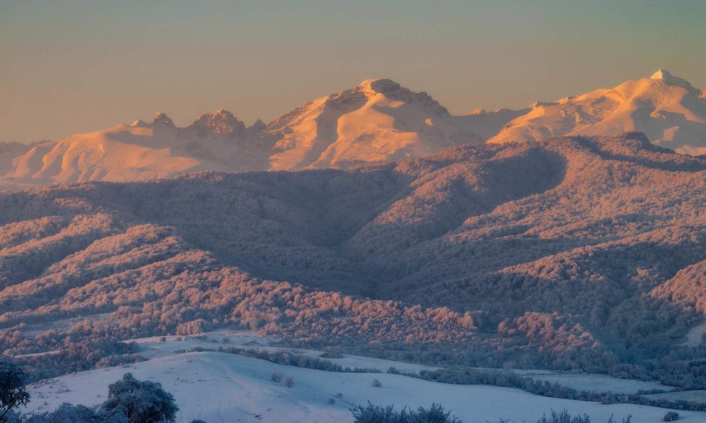Фотография автора Шевченко Юрий