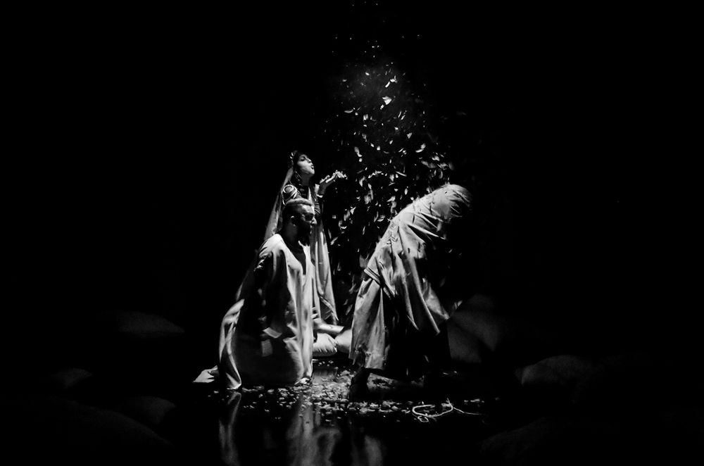 Фотография автора Seyede Elahe GHasemi