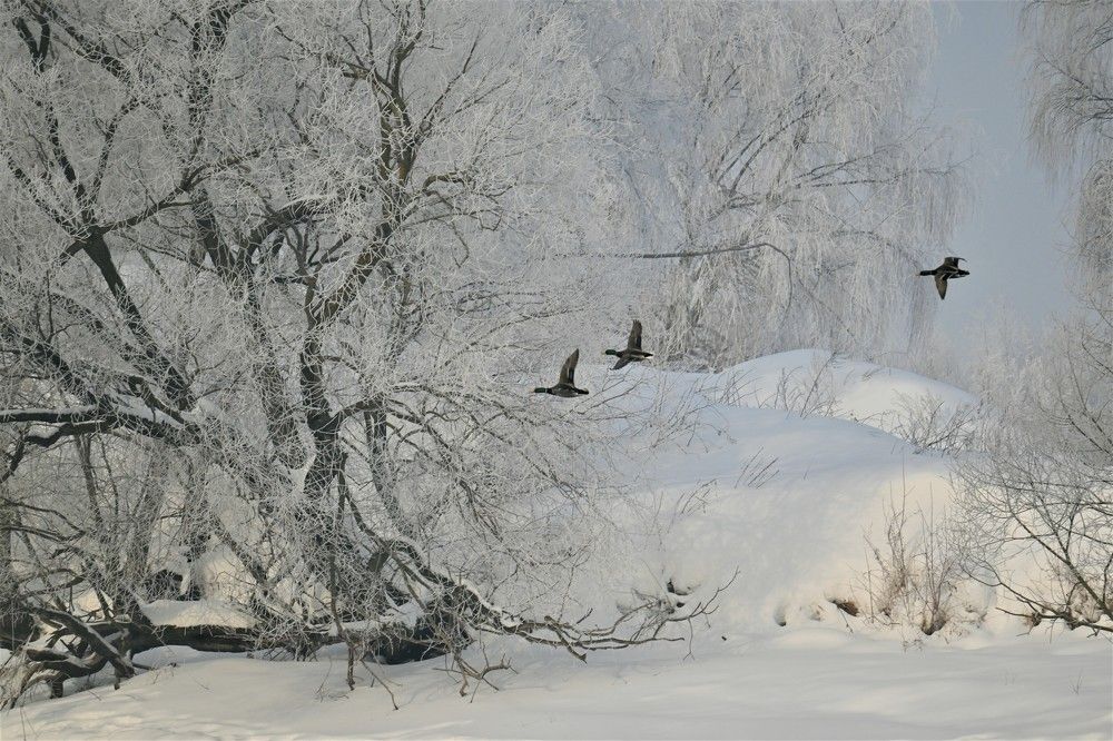 Фотография автора IRINA FILIPPOVA