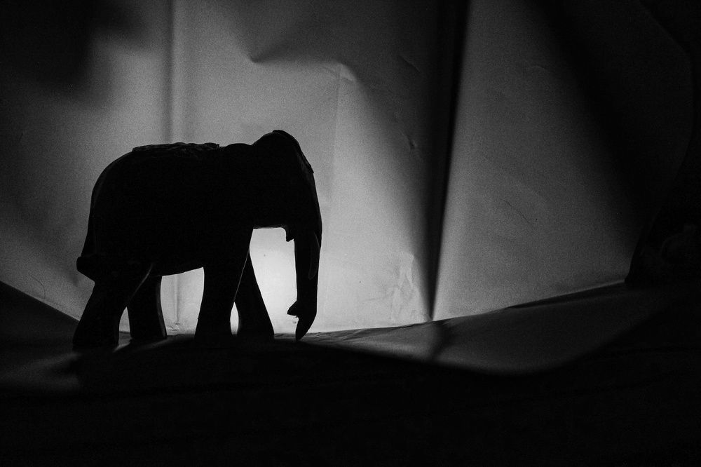 Photograph by Анастасия Чадина