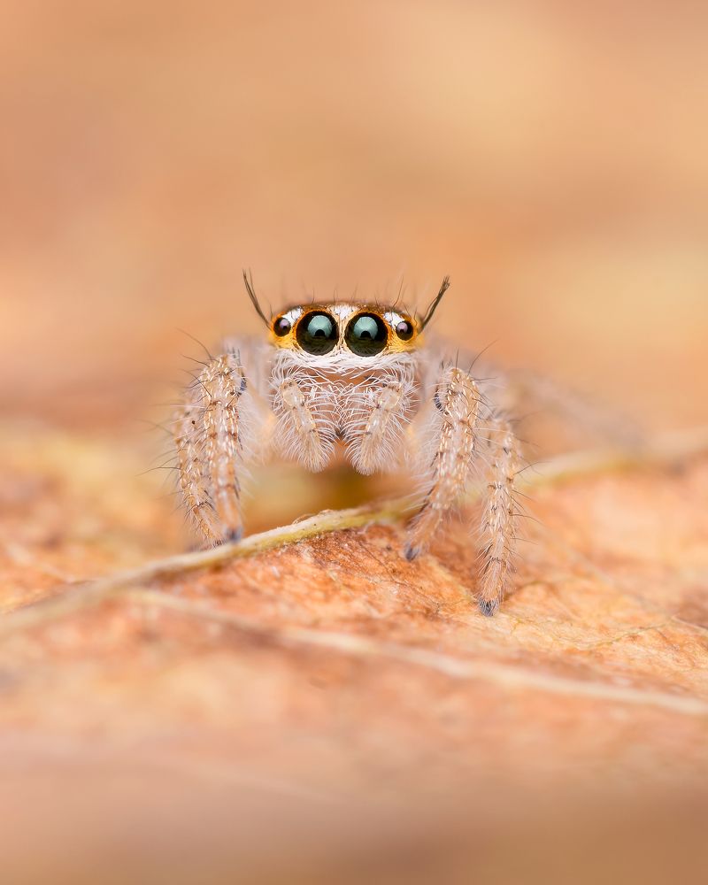 Photograph by Utkarsh Patil