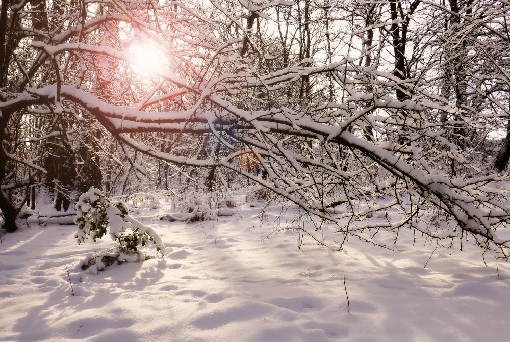 Photograph by Gabriella Szabo