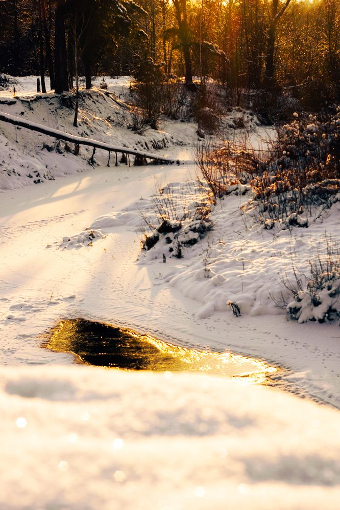 Photograph by Александр Казак