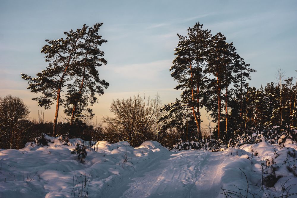 Photograph by Александр Казак