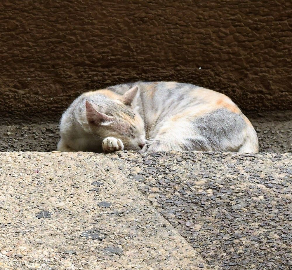 Photograph by Marina Eremin